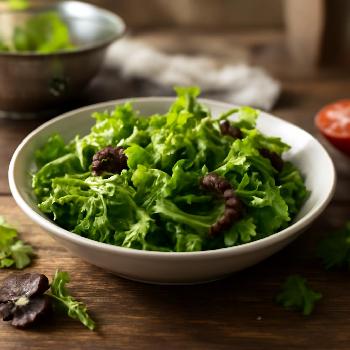 Techniques de Lavage et Séchage de la Salade